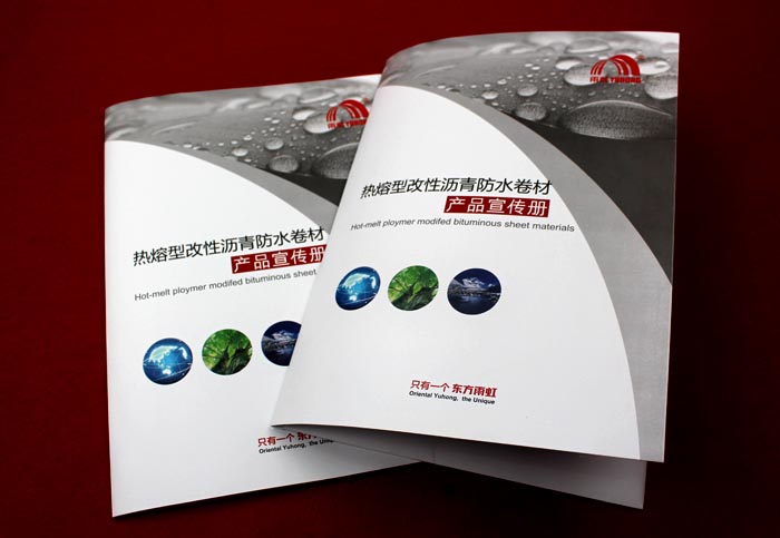 東方雨虹001 東方雨虹001