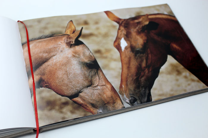 紀(jì)念冊005 紀(jì)念冊005