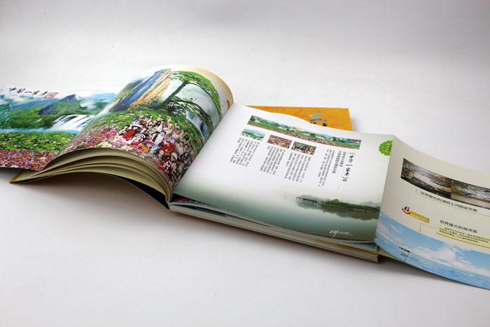 萬家麗001 萬家麗001