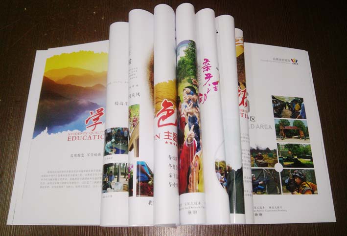 中澳藍(lán)鷹1 中澳藍(lán)鷹1