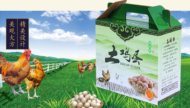 雞蛋包裝盒002 雞蛋包裝盒002