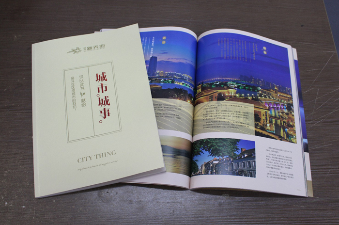 新天地集團(tuán)畫冊1 新天地集團(tuán)畫冊1