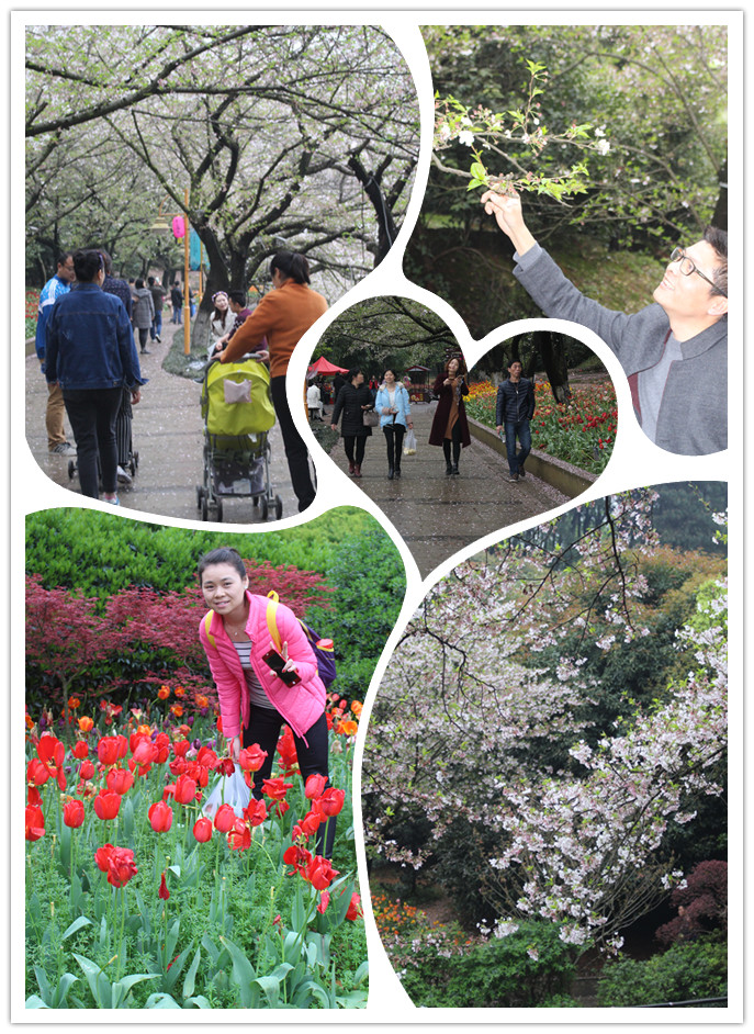 游植物園02 游植物園02