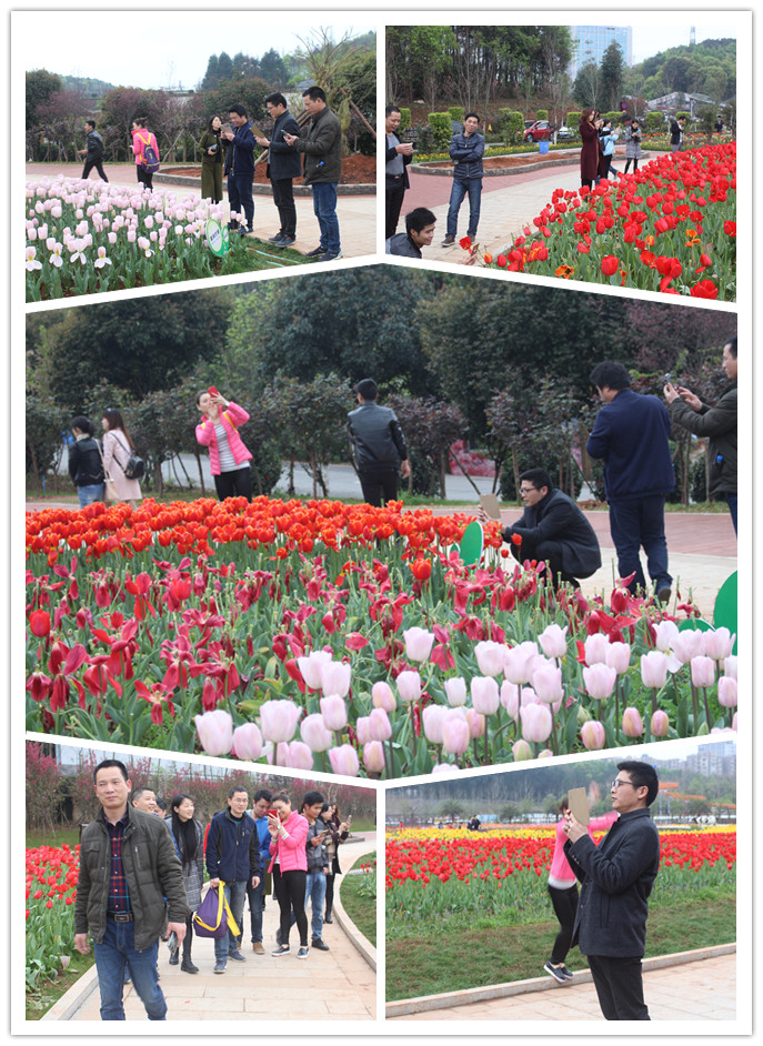 游植物園06 游植物園06