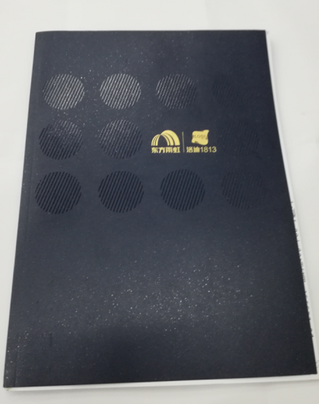 洛迪環(huán)保科技企業(yè)宣傳畫冊(cè)印刷圖1