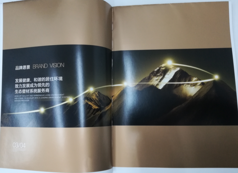 洛迪環(huán)?？萍计髽I(yè)宣傳畫冊(cè)印刷圖2