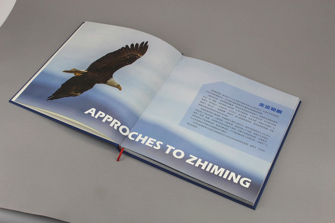 企業(yè)畫冊 企業(yè)畫冊