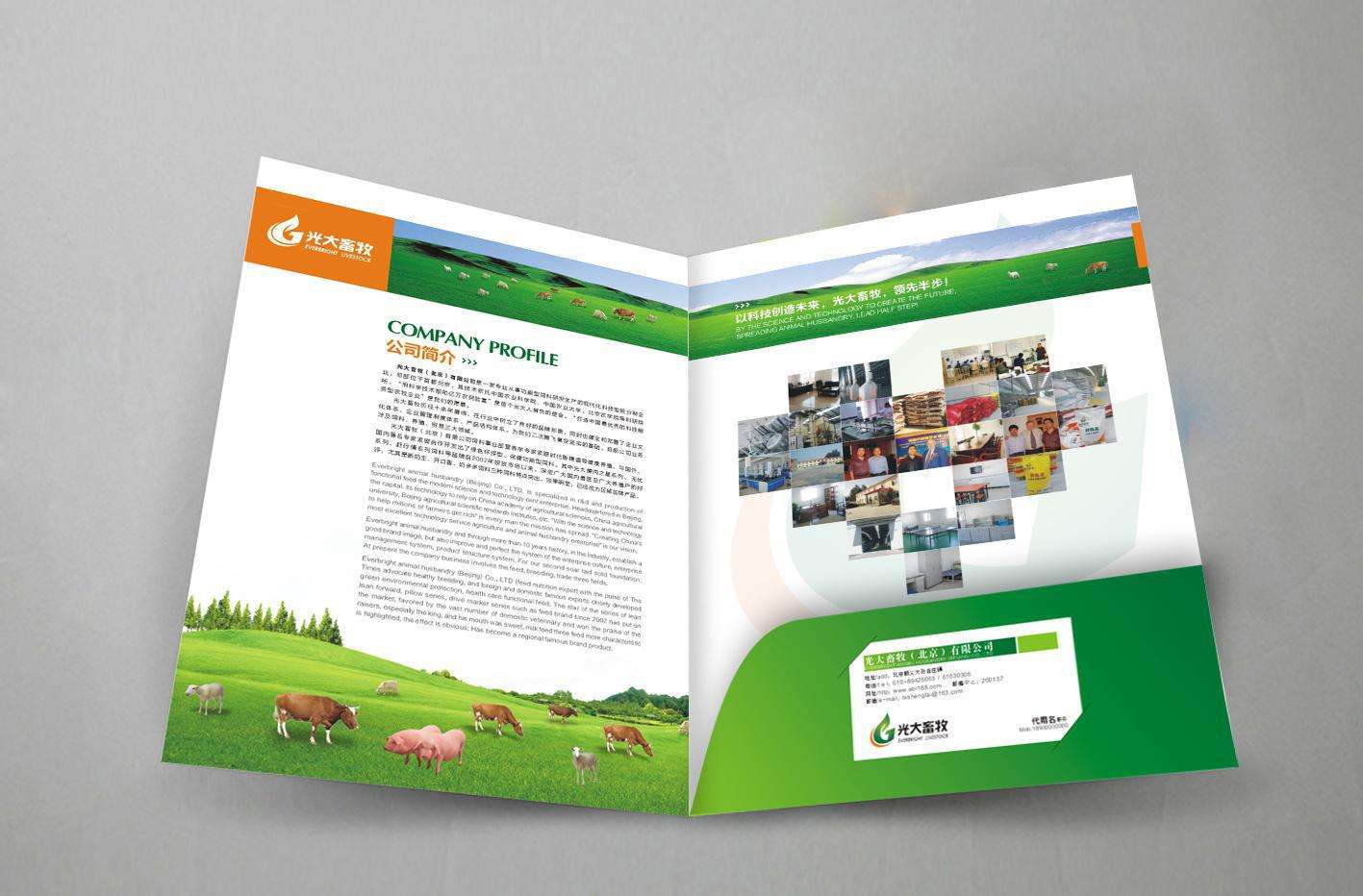 彩頁印刷 彩頁印刷