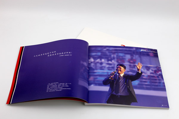 步步高企業(yè)畫冊 步步高企業(yè)畫冊