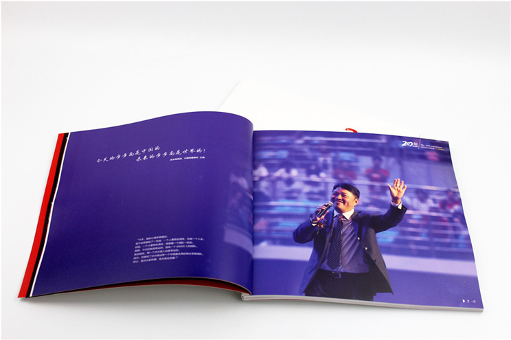 步步高畫冊(cè)-(4) 步步高畫冊(cè)-(4)