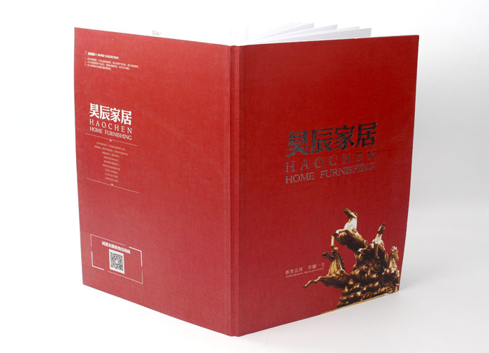 吳辰家居001 吳辰家居001