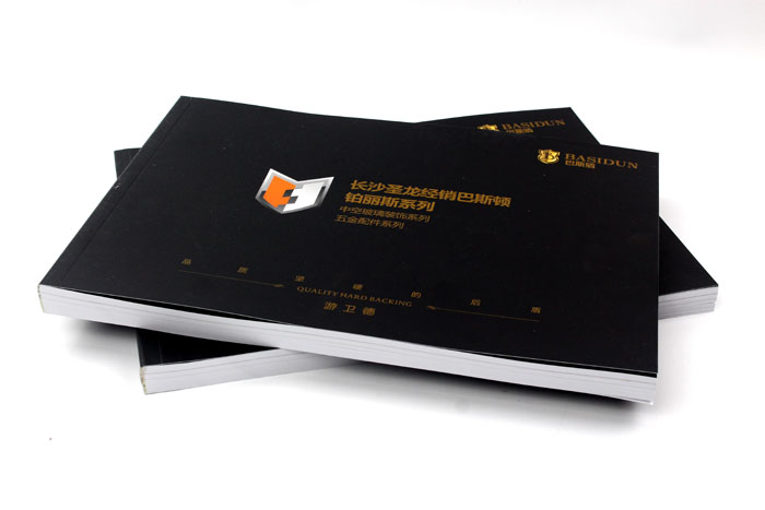 圣龍經(jīng)銷巴斯頓系列005 圣龍經(jīng)銷巴斯頓系列005