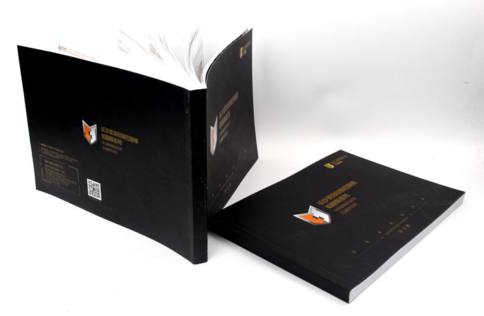 圣龍經(jīng)銷巴斯頓系列001 圣龍經(jīng)銷巴斯頓系列001