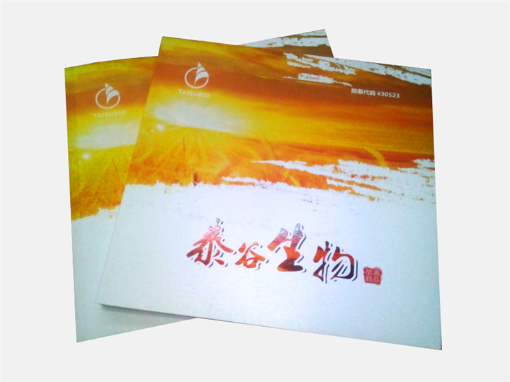 湖南泰谷生物科技股份有限公司企業(yè)畫(huà)冊(cè) 湖南泰谷生物科技股份有限公司企業(yè)畫(huà)冊(cè)